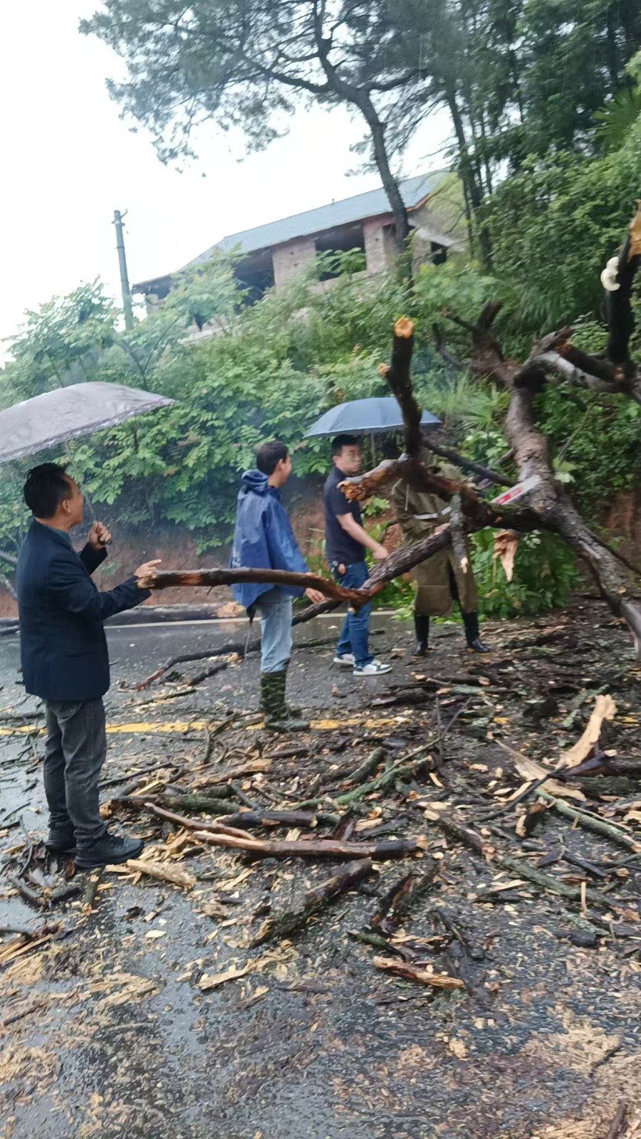祁阳市梅溪镇：开展汛期地质灾害防治工作