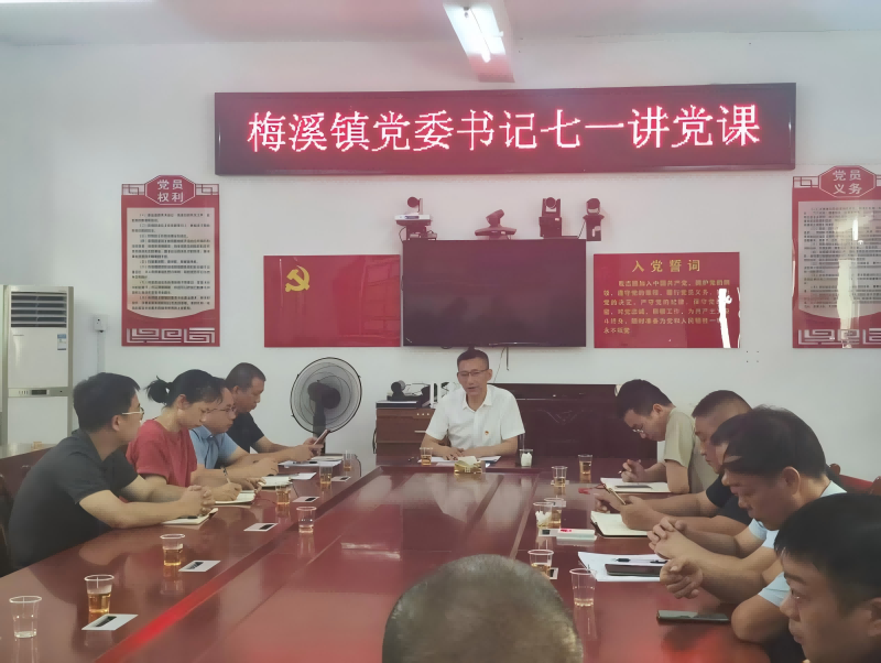 梅溪镇机关支部开展“七一”党员大会 暨专题党课活动