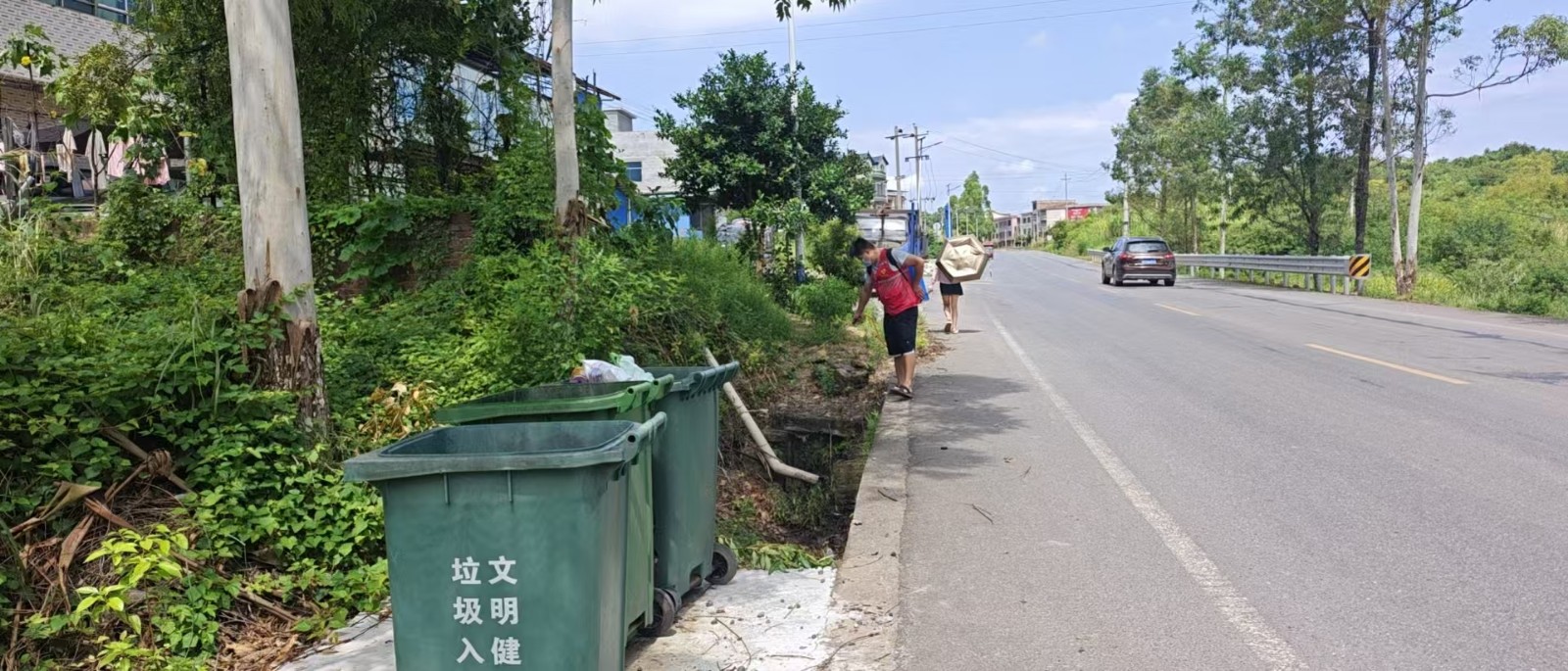 白水镇扎实推进基孔肯雅热与登革热防控工作