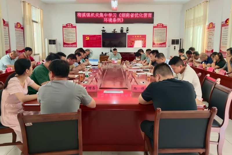 祁阳梅溪镇：深入学习《湖南省优化营商环境条例》