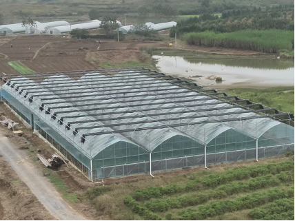 进宝塘镇：念好“农业经”  激活乡村振兴新活力