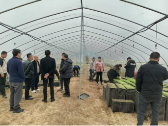 观音滩镇：打好春耕备耕“主动仗” 不负农时不负春