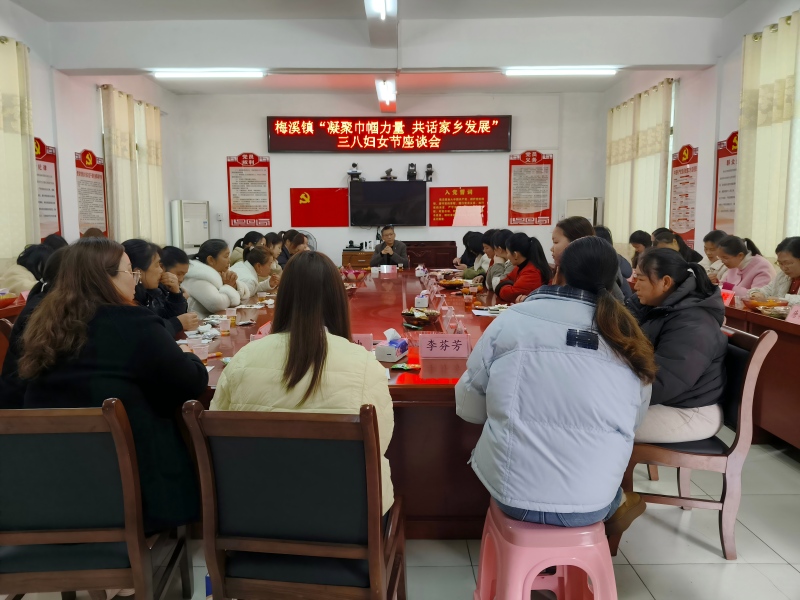 梅溪镇召开“三八”妇女节座谈会