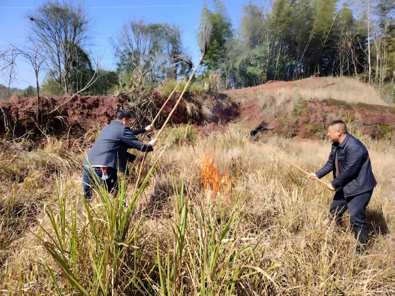 梅溪镇：多措并举织牢生态“防护网”