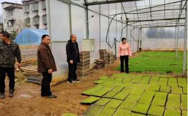 进宝塘镇：春耕正当时，奏响农业“奋进曲”