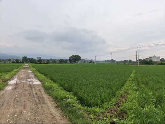 祁阳：二轮延包“稳”民心 确权纠偏“正”民意 ——以精准登记化解土地延包“烦心事”