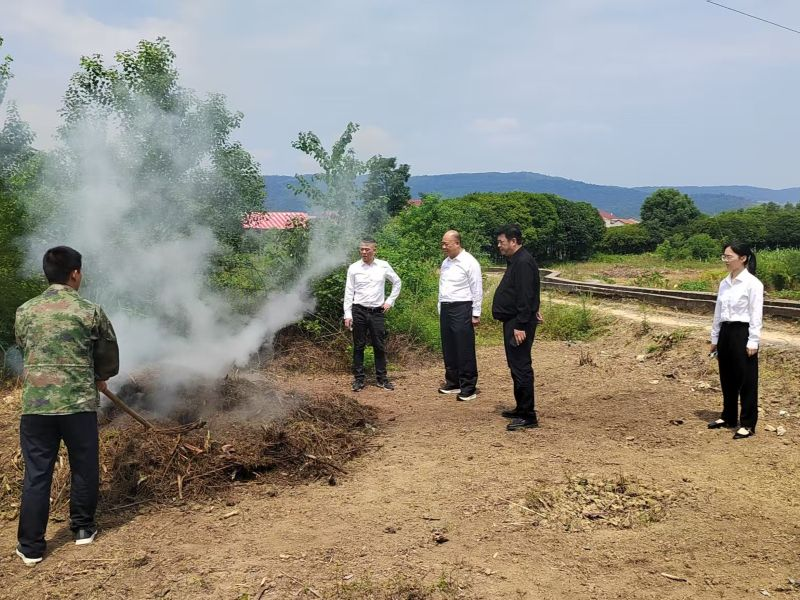 祁阳梅溪：人技双防织密防线 全力抓实秸秆禁烧工作